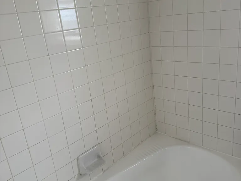 231 Alpine St — Photo 8