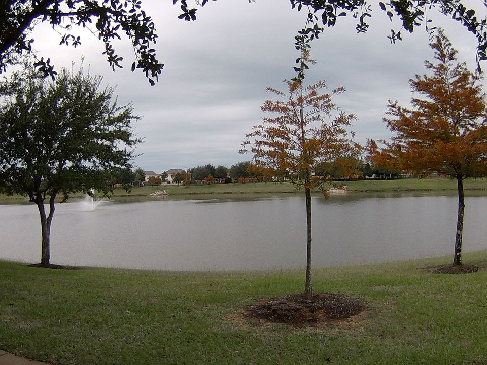 Lake view from the house