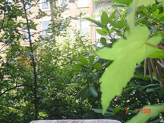 Rented by KVNY Soho | media 20