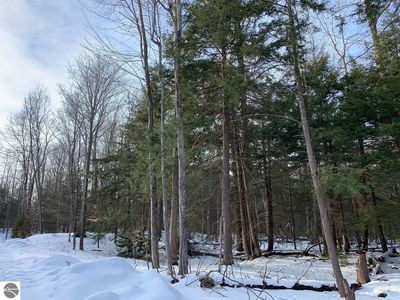 Lots 1 3 Wildwood Ln, Kewadin, MI, 49648