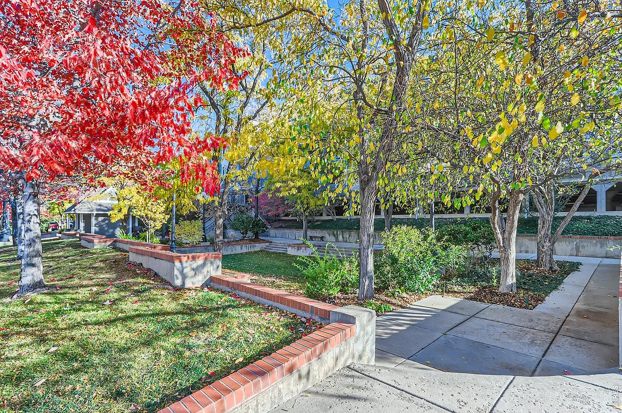 1 bed, 611 sqft, $1,595 — Photo 3