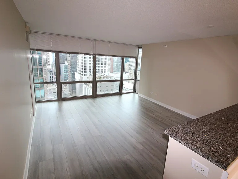 2 E Erie St #1901 — Photo 8