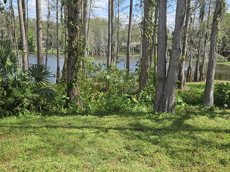 3416 Laurel Dale Dr — Photo 12