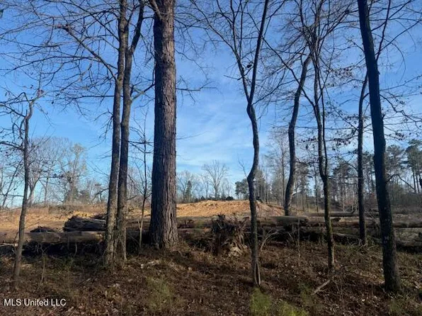 LOT 1 Slocum Rd, Hernando, MS 38632