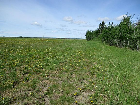4th image of 15231004 Township Road 920