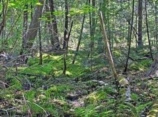 N 2723 HWY 253, Sarona, WI 54870