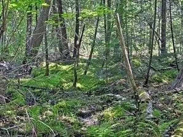 N 2723 HWY 253, Sarona, WI 54870