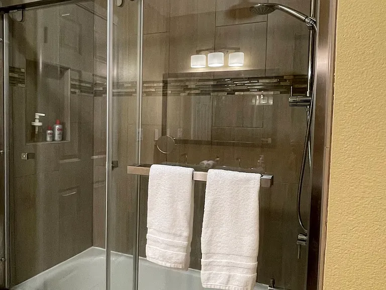 Master bathroom with Grohe rain shower and handheld shower head.