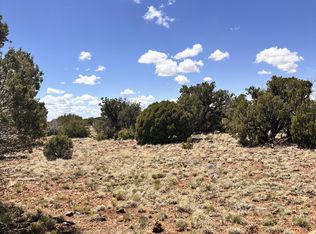 22 County Road 8237, Concho, AZ 85924