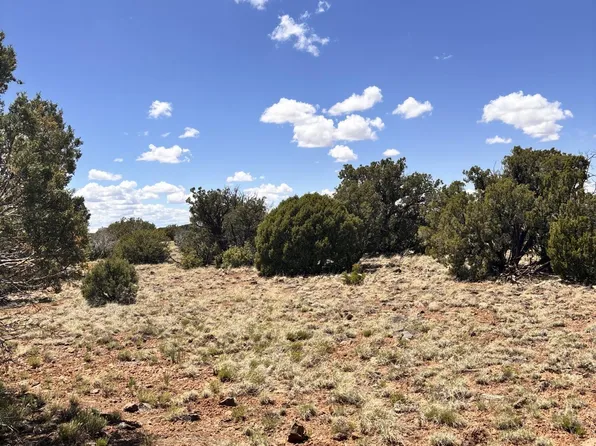 22 County Road 8237, Concho, AZ 85924