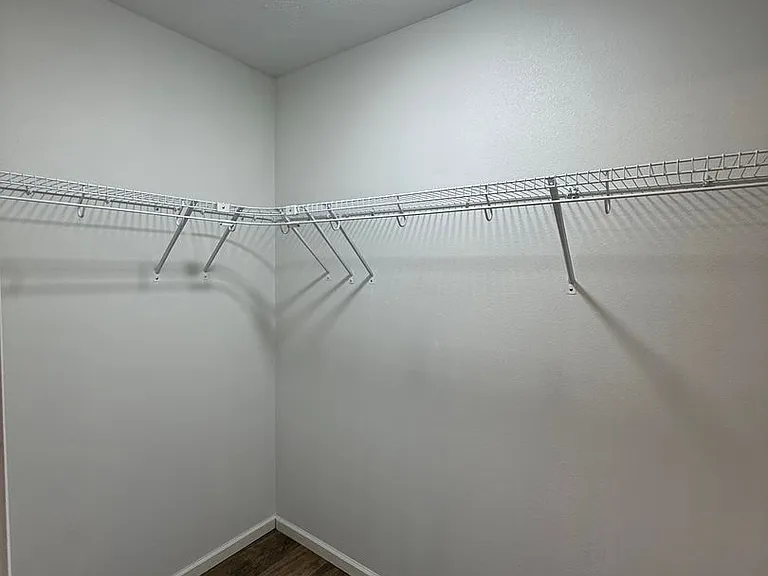 185 Bald Cypress Ct — Photo 13