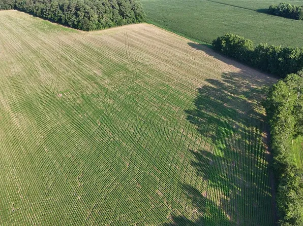 PARCEL Russell Rd #C, Bridgeville, DE 19933