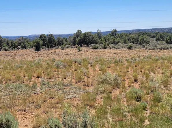 Lots 85 91 Nm 511, Navajo Dam, NM 87419