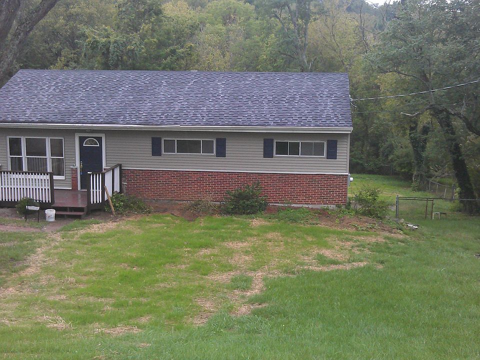 new grass coming in nicely