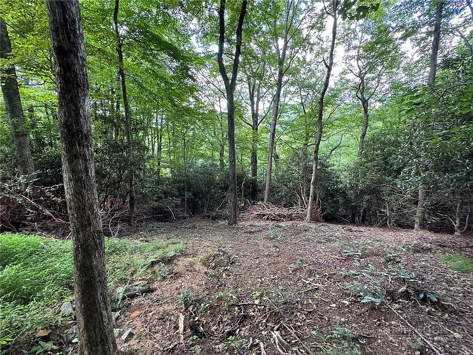 1st image of Lot 8 Bear Cub Trail
