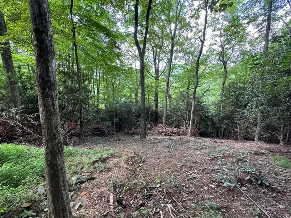 Lot 8 Bear Cub Trail, Boone, NC 28607
