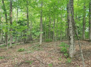 46-2 & 47 Route 153, Union, NH 03887