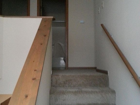 3rd image of 552 Chris Dr