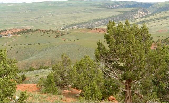 2nd image of 371 Coyote Run