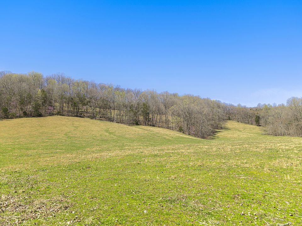 31st image of this home