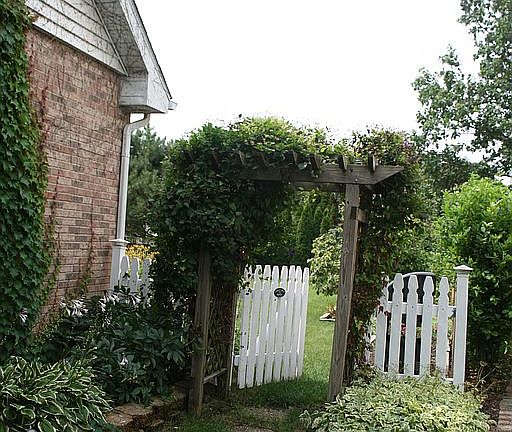 Welcome to the backyard