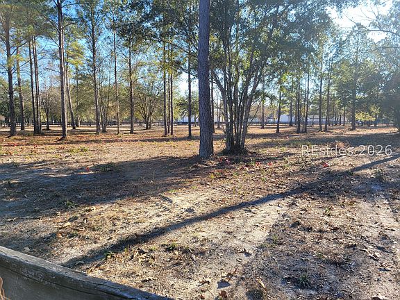 5th image of Beaver Dam Rd