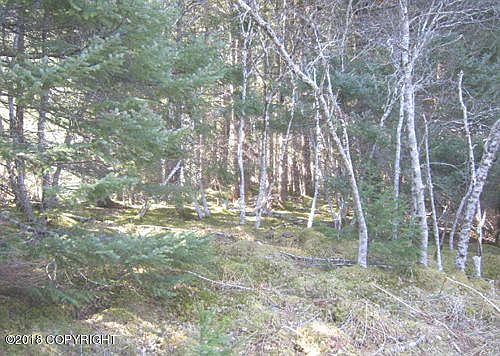1st image of 376 Kizhuyak Dr
