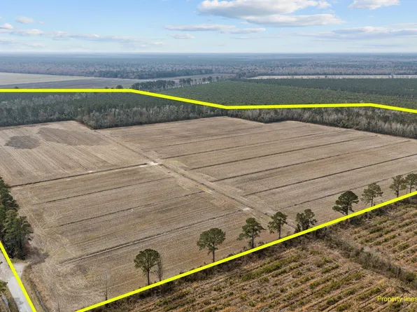 0 Neals Creek Road, Bayboro, NC 28515