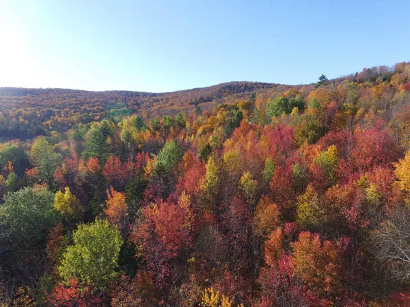 00 Kew Vasseur Road Lot #2, Fayston, VT 05673