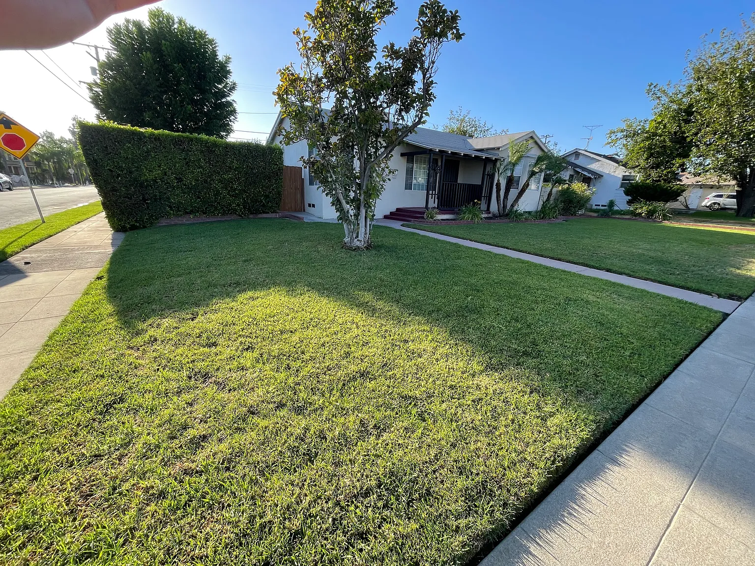 3 bed, 1500 sqft, $3,200 — Photo 1