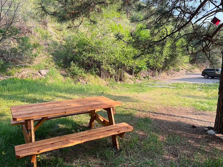 the back picnic area