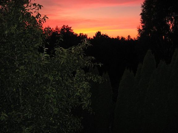 Sunset View