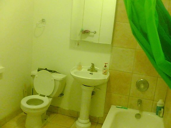 3rd image of 6752 N Lakewood Ave #1S