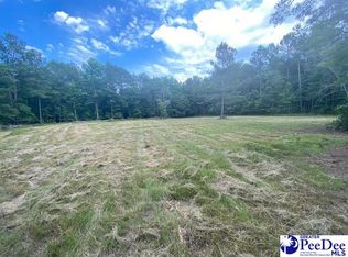 2421 Lide Springs Rd, Darlington, SC 29540