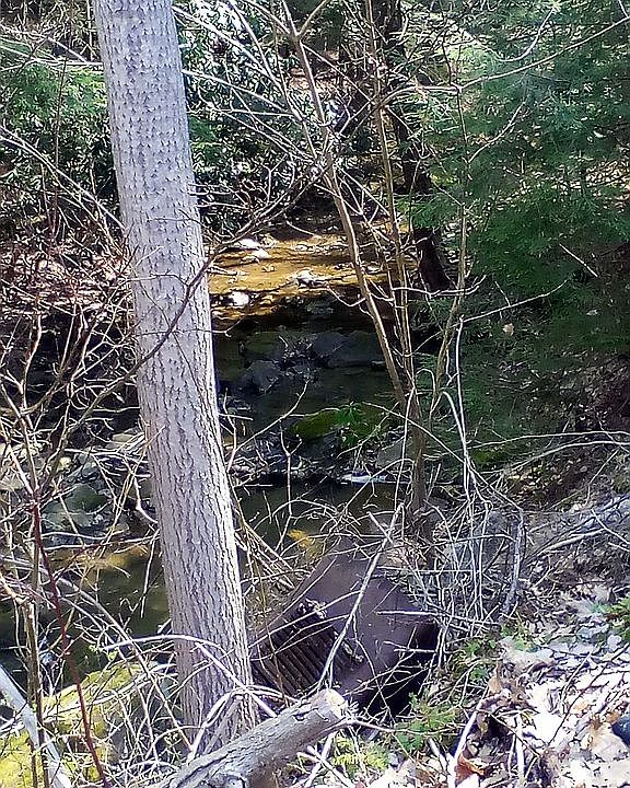 2nd image of 3716 Grant Rd