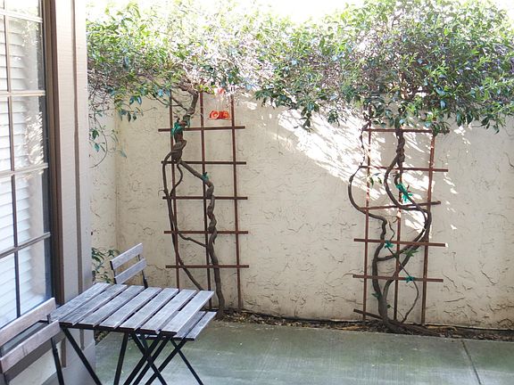 4th image of 680 Alberta Ave APT A