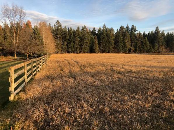 Nhn Conagher Ln, Columbia Falls, MT 59912