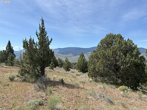 3rd image of Wiley Creek Rd
