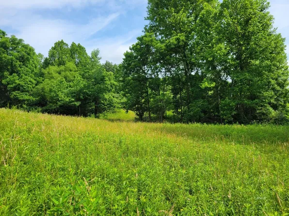 Linscott Run Rd, Amesville, OH 45711