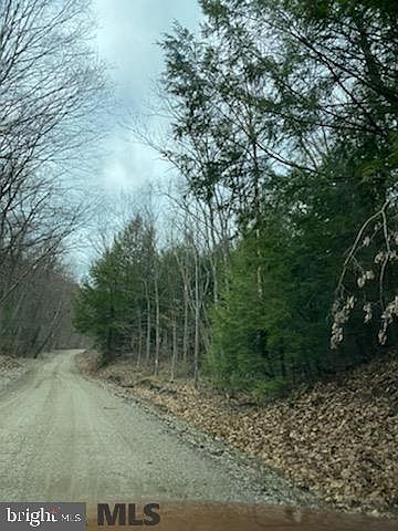 2nd image of 0 Bowmans Hill Rd