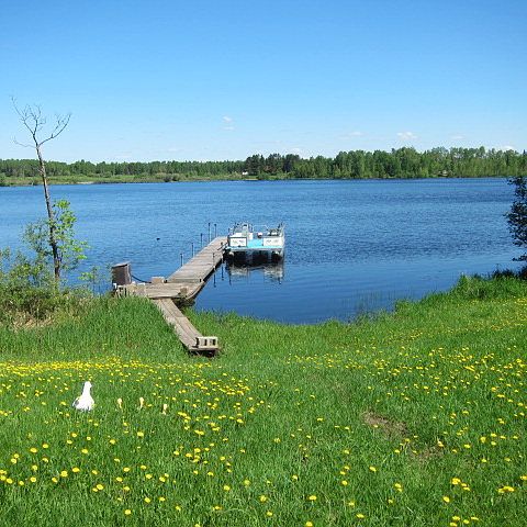 2nd image of 5907 Long Lake Road South