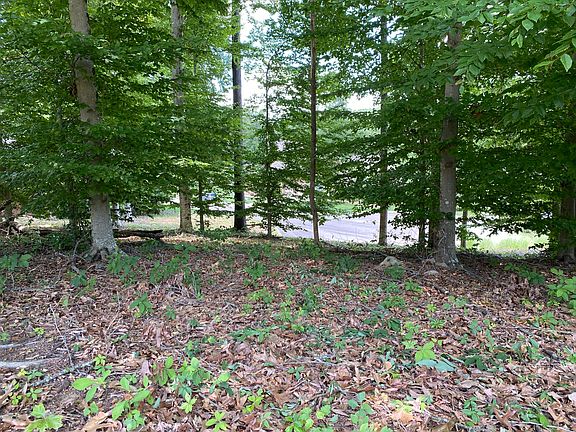 2nd image of 2505 Echo Brook Ln Lot 56