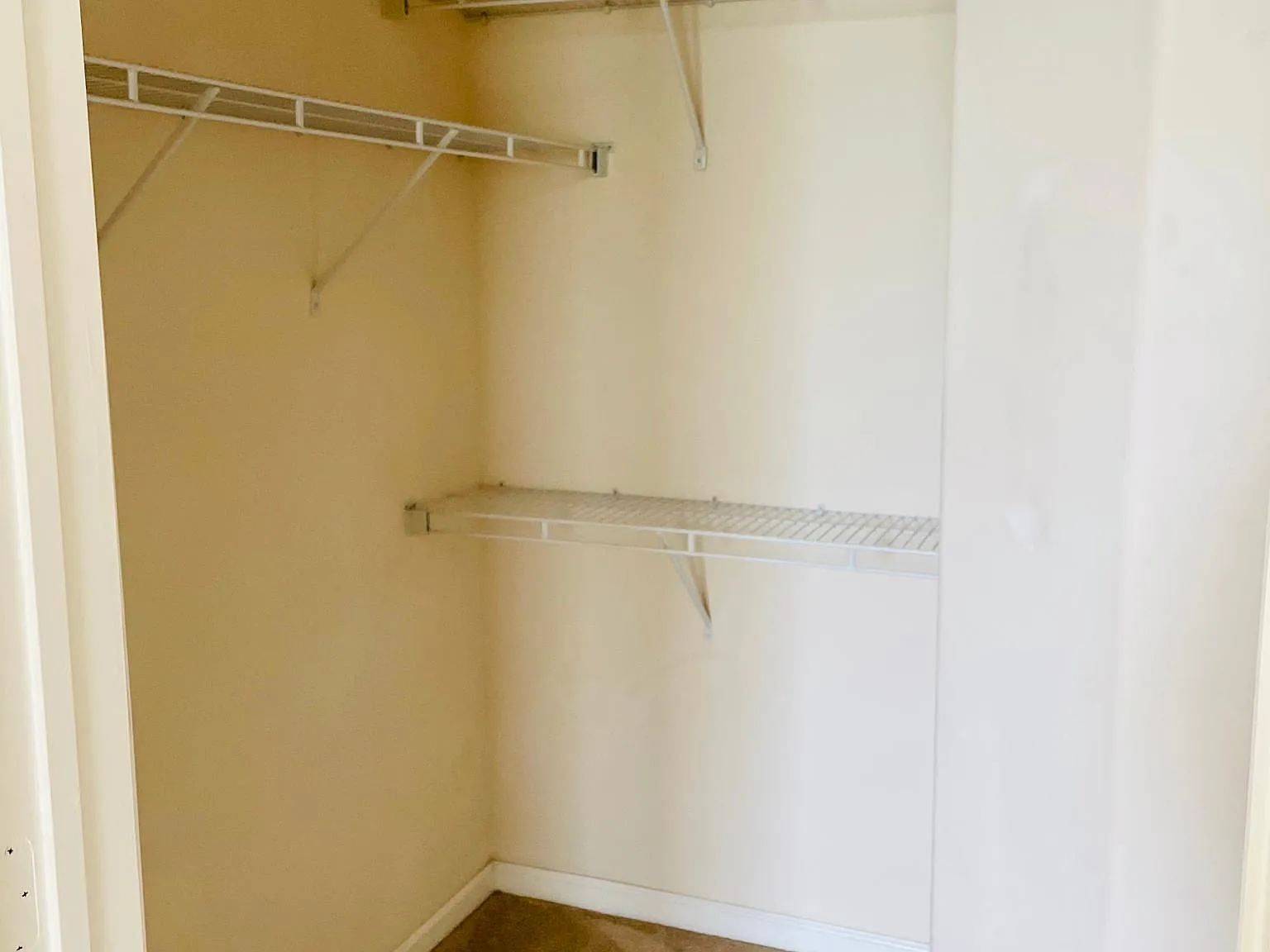 2 bed, 1100 sqft, $1,450 — Photo 1