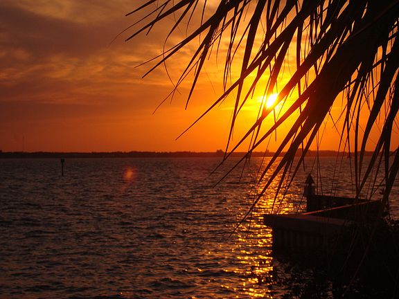 Walk to the dock to watch the glorious sunsets on the Indian River