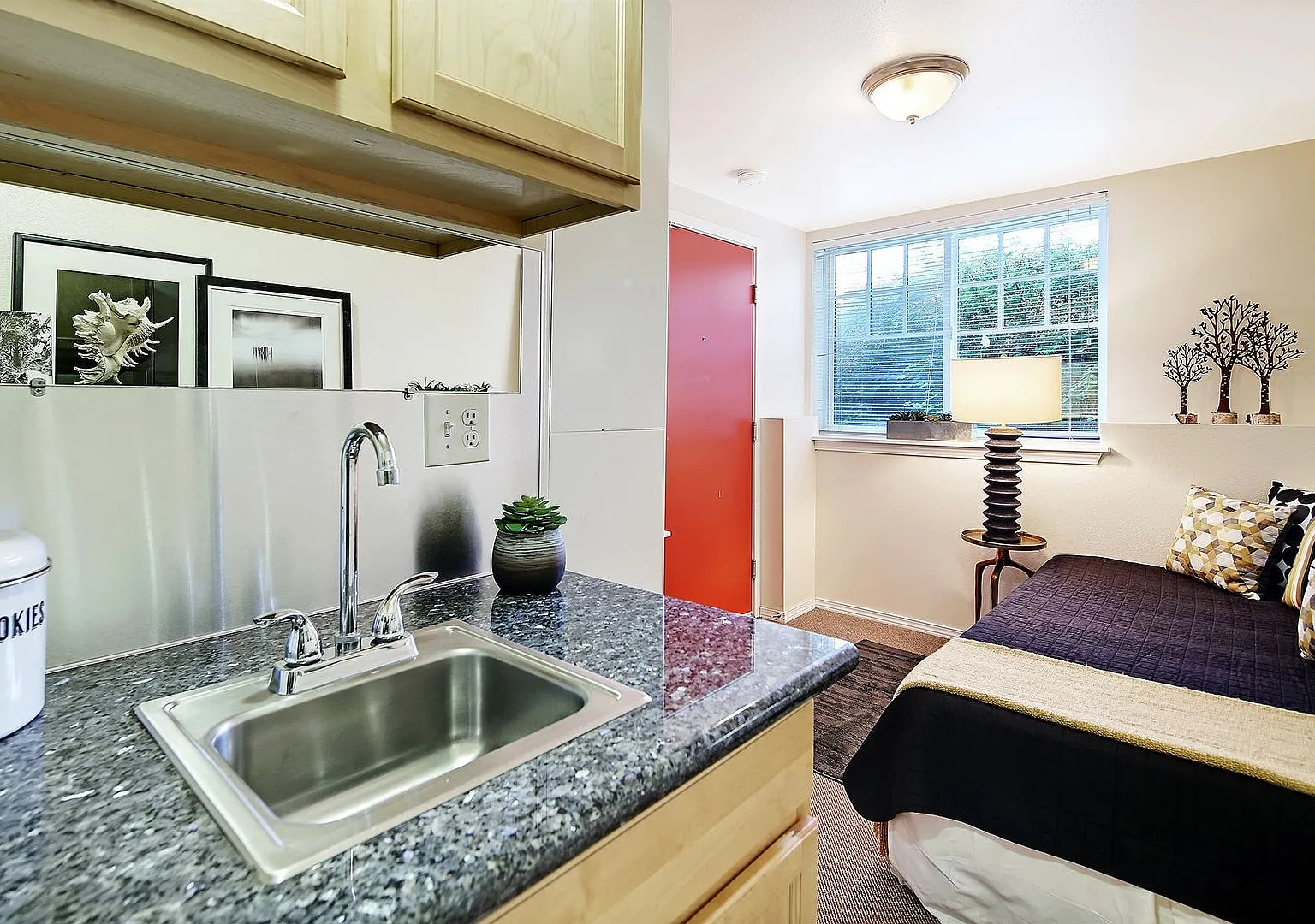 Quiet Garden Style Apartments on Cap Hill — Photo 2