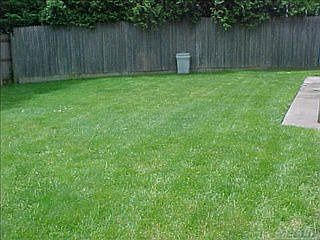 2nd image of 1768 Chaladay Ln