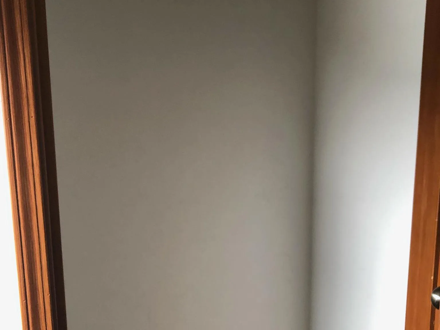 2 bed, $1,350 — Photo 3