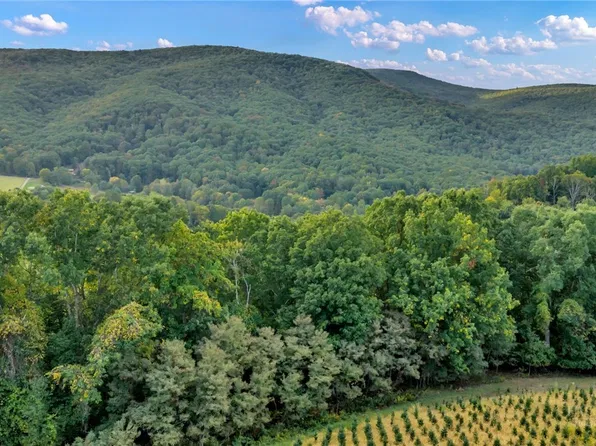TBD 66A Low Gap, Troutdale, VA 24378