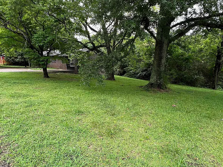905 Lynn Dale Ln — Photo 15