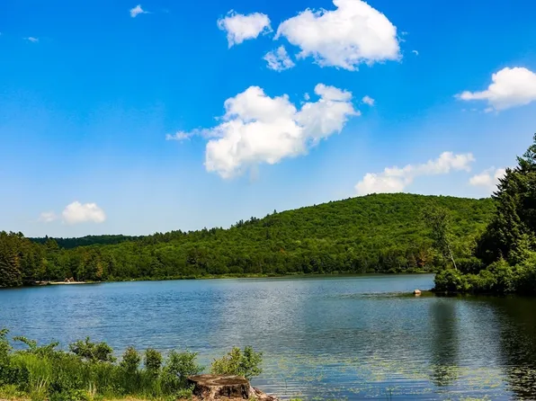 50 Pond Rd, Rowe, MA 01367